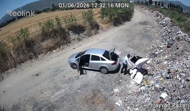Söke’de çevre katliamına geçit yok! 96 kişiye rekor ceza