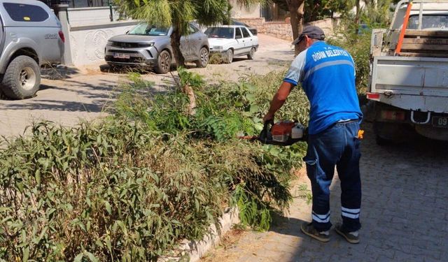Didim’de yeşil alanlarda bakım çalışması sürüyor
