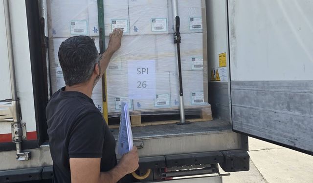 Didim’den İngiltere’ye balık ihracatı