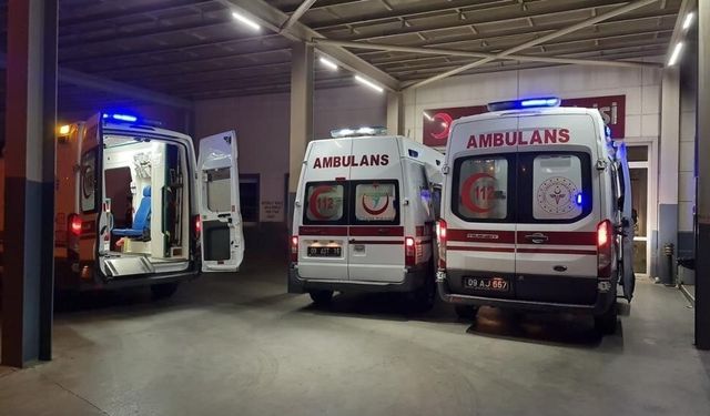 Didim'de traktör devrildi