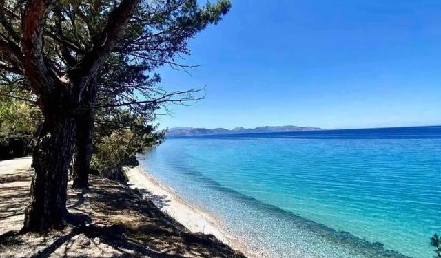 Kuşadası’nda doğa ve deniz buluşması! Dilek Yarımadası’nda doğayla iç içe yaz