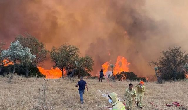 Nazilli’de yangın alarmı! Rakamlar yarı yarıya düştü