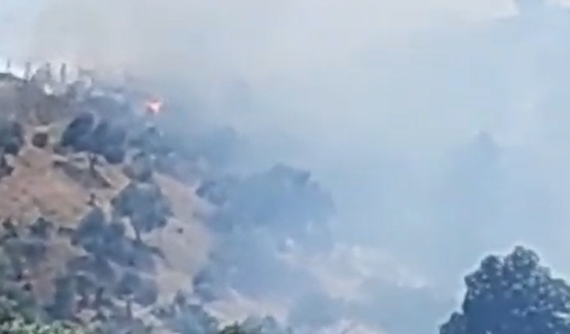 Asayiş