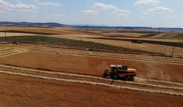 Politikalar şirketlere çalışıyor: Çiftçi toprağında “ırgat” olacak