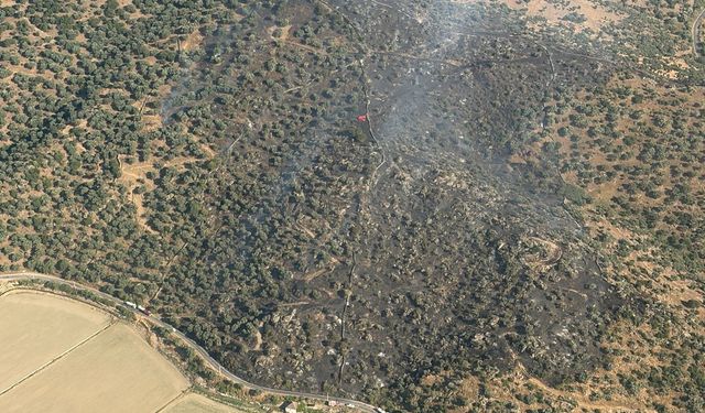 Söke’deki yangından sevindiren haber! Yüreklere su serpildi