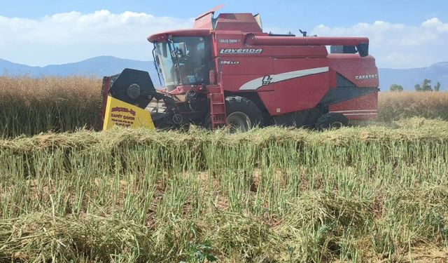 Söke’de bir ilk gerçekleşti