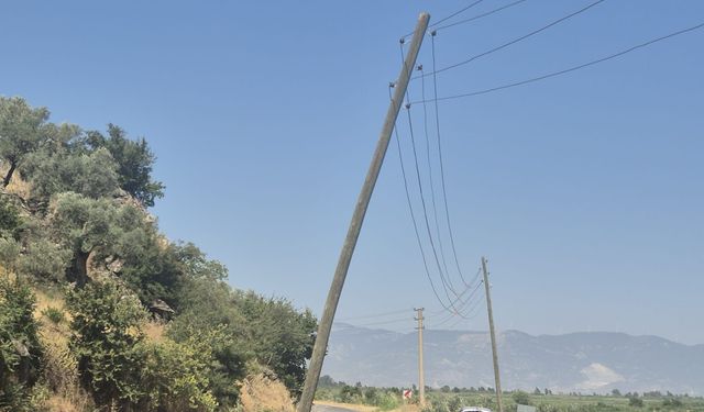 Söke’de yangının nedeni elektrik telleri mi? TEDAŞ'ı mahkemeye verdi