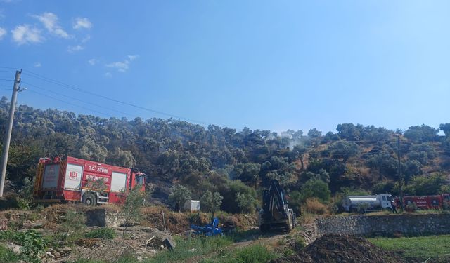 Asayiş