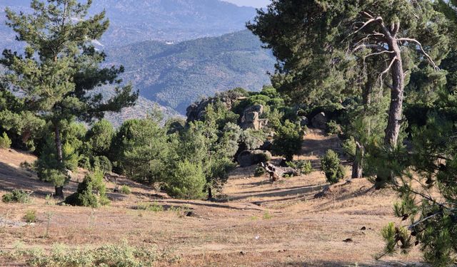 Sökeli muhtardan tepki: “Kalbimize hançer vuracaklar”