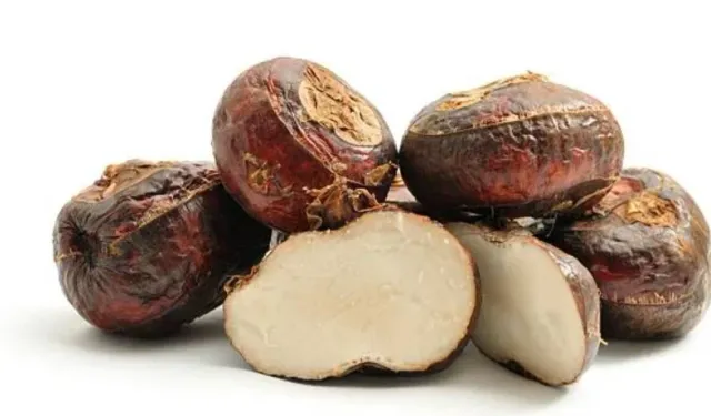 Yaşam