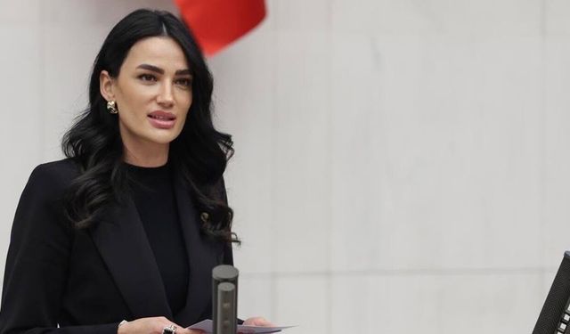 AK Parti Aydın Milletvekili Sarıbaş’tan NATO mesajı! “Dünya Türkiye’yi konuşuyor”