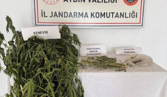 Asayiş