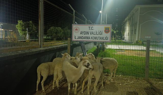 Asayiş