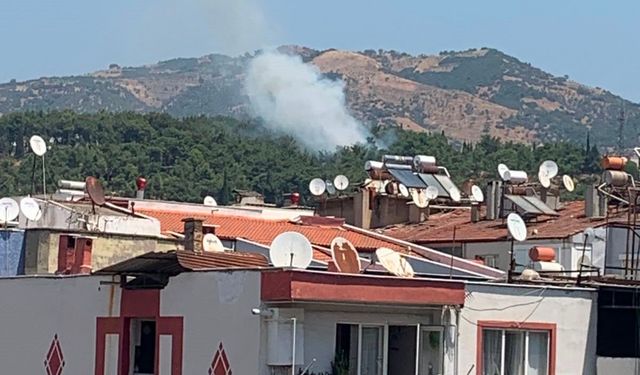 Asayiş
