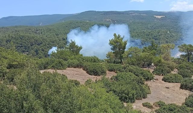 Aydın'da orman yangını riski kritik seviyede!