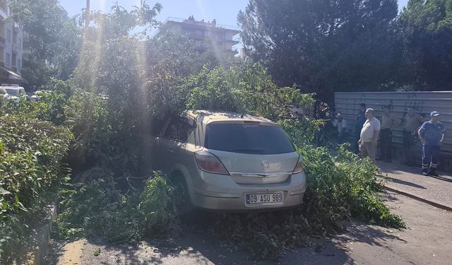 Asayiş