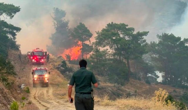 Aydın’da zorlu yangın mesaisi