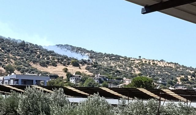 Asayiş