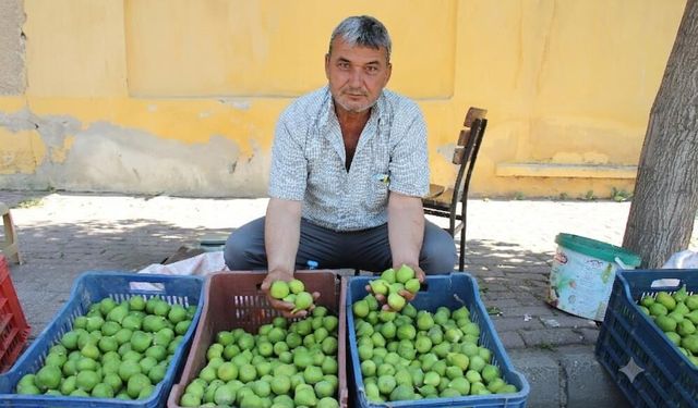 Aydınlı üreticiden gençlere emek çağrısı! “Üretmezsek kaybetmeye mahkum oluruz”
