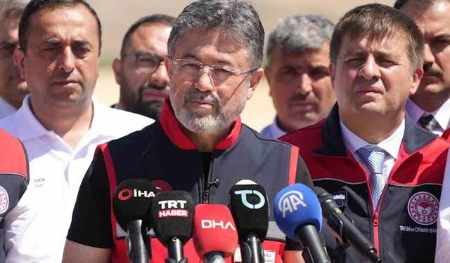 Bakan Yumaklı’dan Çine yangını açıklaması: “Havadan ve karadan müdahale ediyoruz”