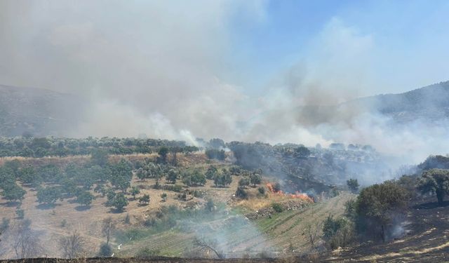 Bozdoğan’da yangın büyüyor: Belediye destek istedi
