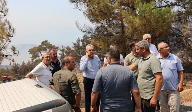 Çine yangınında seferberlik! AK Partili Savaş bölgedeki çalışmaları takip etti