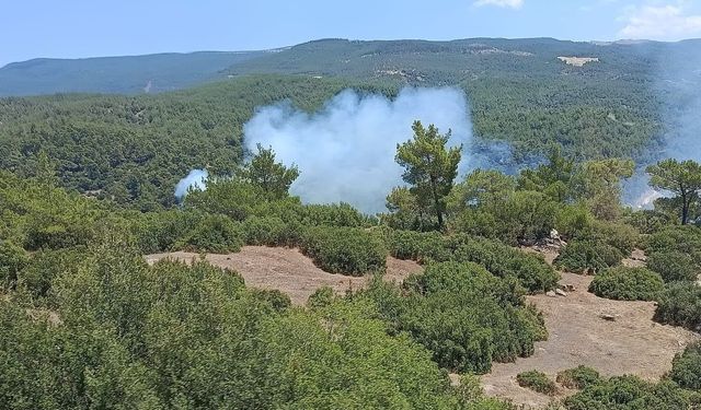 Asayiş
