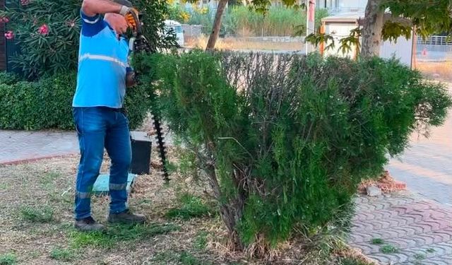Didim Belediyesi çevre bakım çalışmalarını sürdürüyor