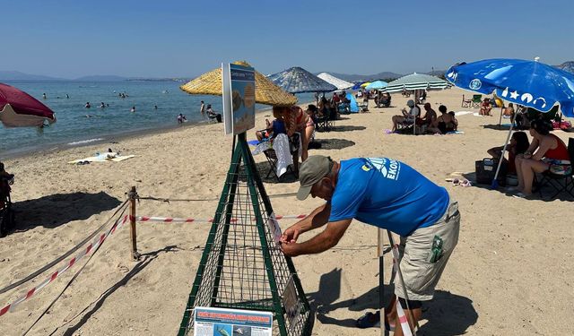 Didim'de 5 yıl sonra aynı yerde sürpriz gelişme! Yıllar sonra tekrar geldi