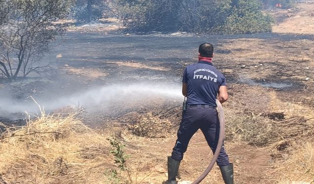 Didim’de alevler karşı seferberlik! Evler son anda kurtarıldı