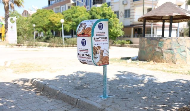 Didim'de bayat ekmek kutuları kent genelinde yaygınlaşıyor