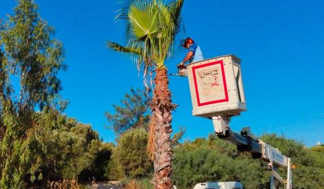 Didim’de çalışmalar aralıksız sürüyor