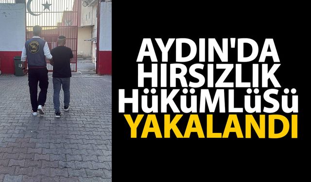Aydın'da hırsızlık hükümlüsü yakalandı