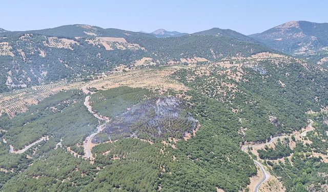 Asayiş