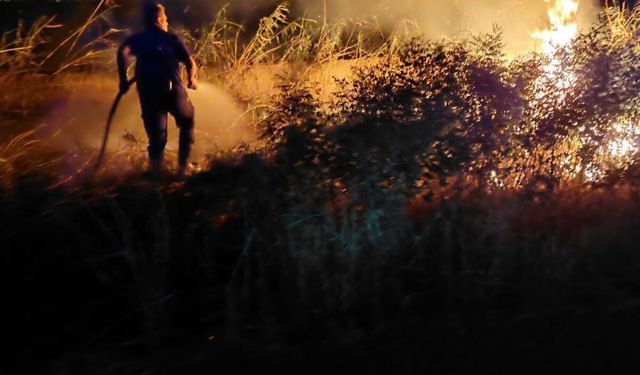 Nazilli’de zeytinlik yangını korkuttu! Alevler büyümeden söndürüldü