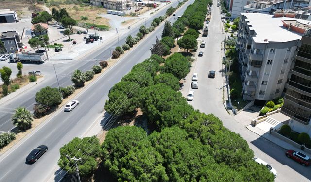 Söke'de bisiklet ve yürüyüş yolu için çalışmalar başladı