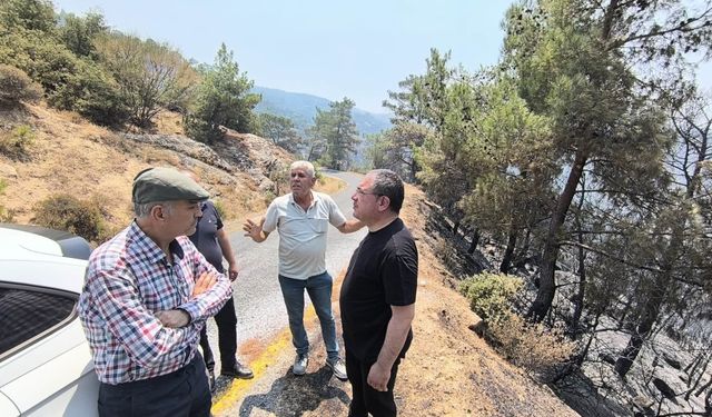 YENİ Partili Karakoz yangın bölgesinde! “Yılların emeği saatler içinde küle döndü”