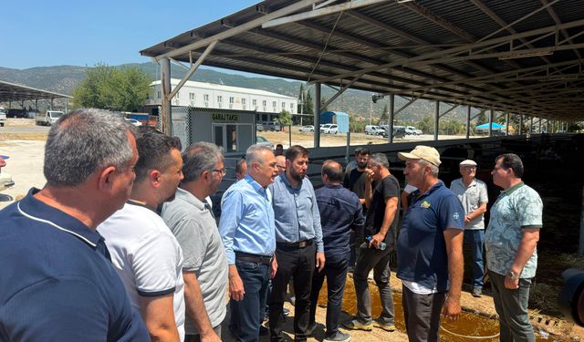 AK Parti Aydın Heyeti Çine Hayvan Pazarın’da! Gelişmeleri yerinde incelediler