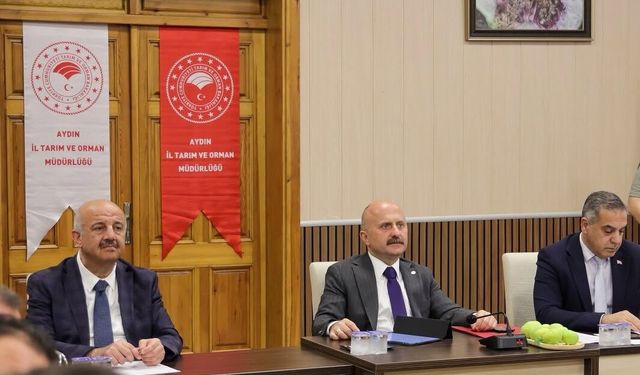Aydın inciri için yoğun mesai! Kalitesi ve sürdürülebilirliği için çalışmalar sürüyor