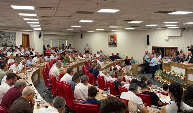 Aydın’da ilaçlama krizi son buldu! Yeni yıl itibariyle yetki Büyükşehir Belediyesi’nde