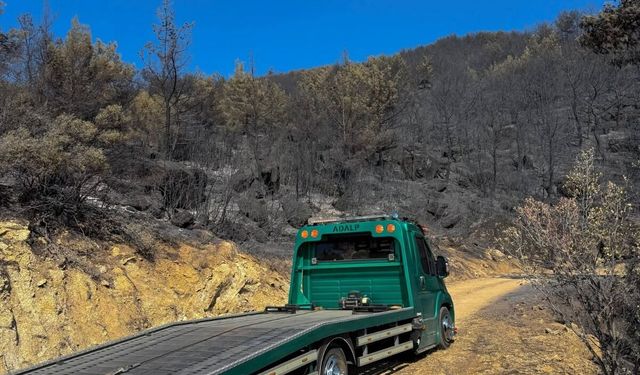 Aydınlılar Çine’deki yangında tek yürek oldu! Esnaf felakette kimseyi yolda bırakmadı