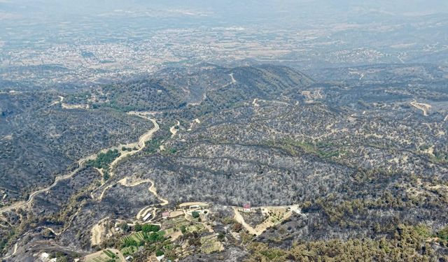 Başkan Kıvrak yangında destek veren herkese teşekkür etti