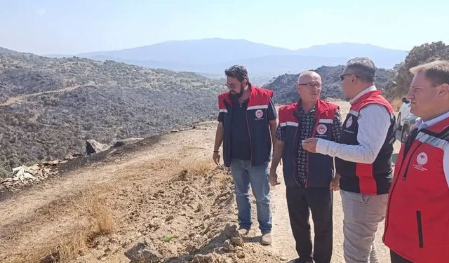 Çine'de yangın sonrası hasar tespit çalışmaları sürüyor