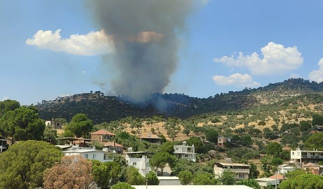 Asayiş