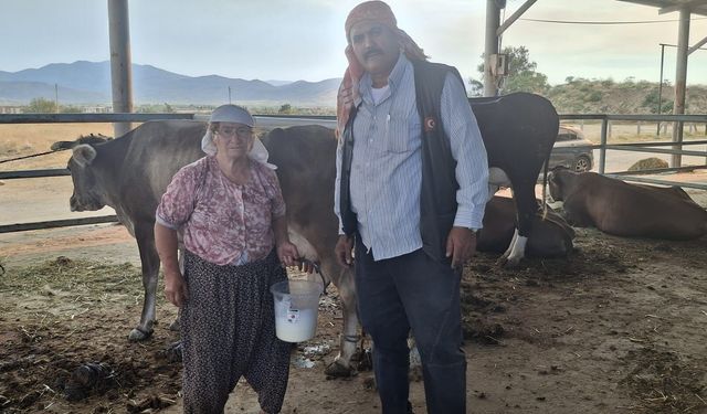 Çine’deki yangın bölgesinde yörük eli! Yangından etkilenen üreticiye yem desteği