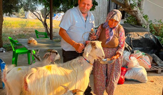 Çine'deki yangında kaybettiği köpeği için gözyaşı dökmüştü: Arzu Celep için anlamlı destek