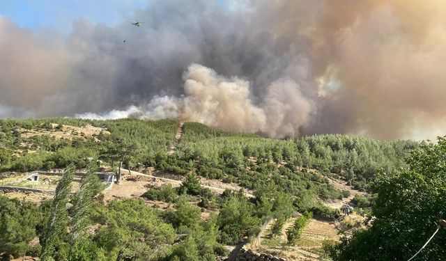 Çine'den rahatlatan haber geldi! Tamamen kontrol altına alındı