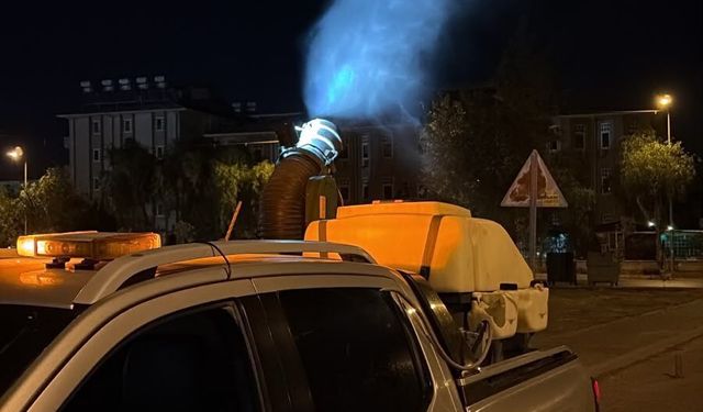 Didim haşerelere karşı korunuyor