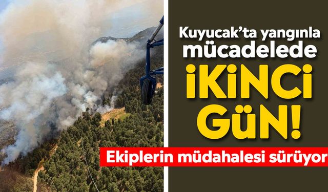 Kuyucak’ta yangınla mücadelede ikinci gün! Ekiplerin müdahalesi sürüyor