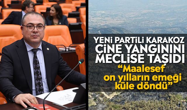 Yeni Partili Karakoz Çine yangınını meclise taşıdı: “Maalesef on yılların emeği küle döndü”